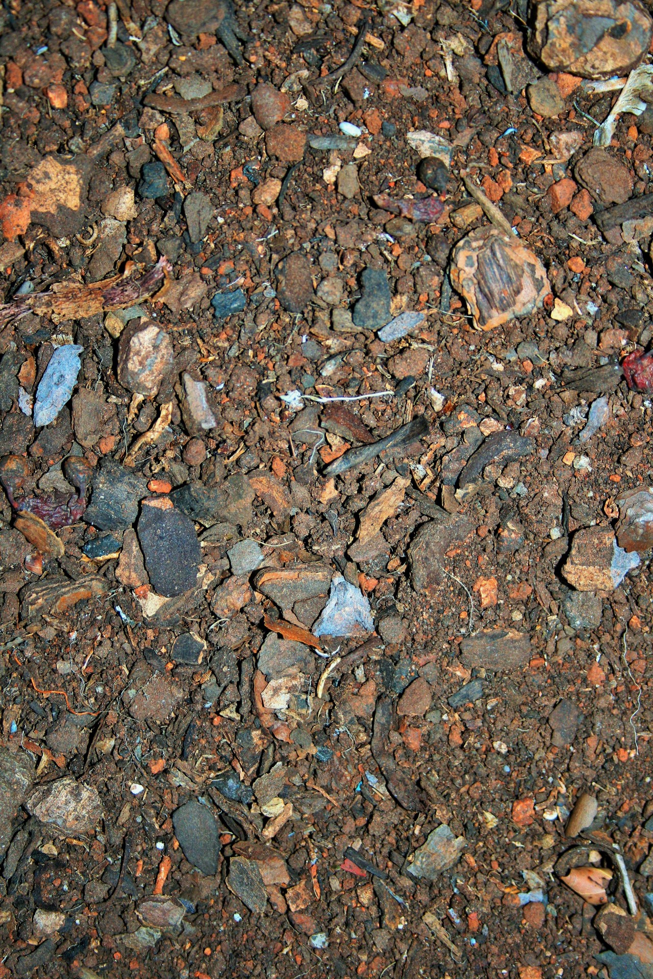 soil pebbles bark free photo