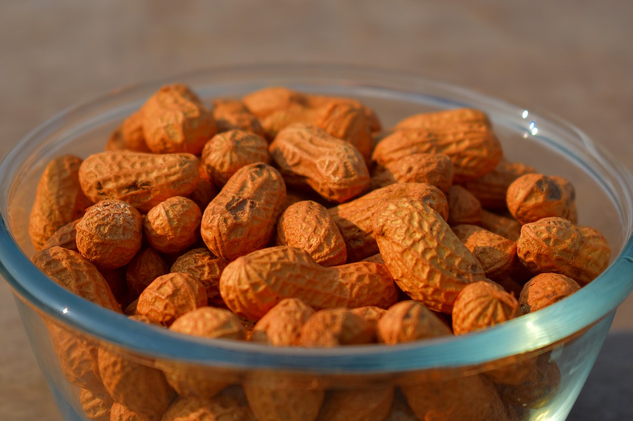 groundnuts peanuts nuts free photo