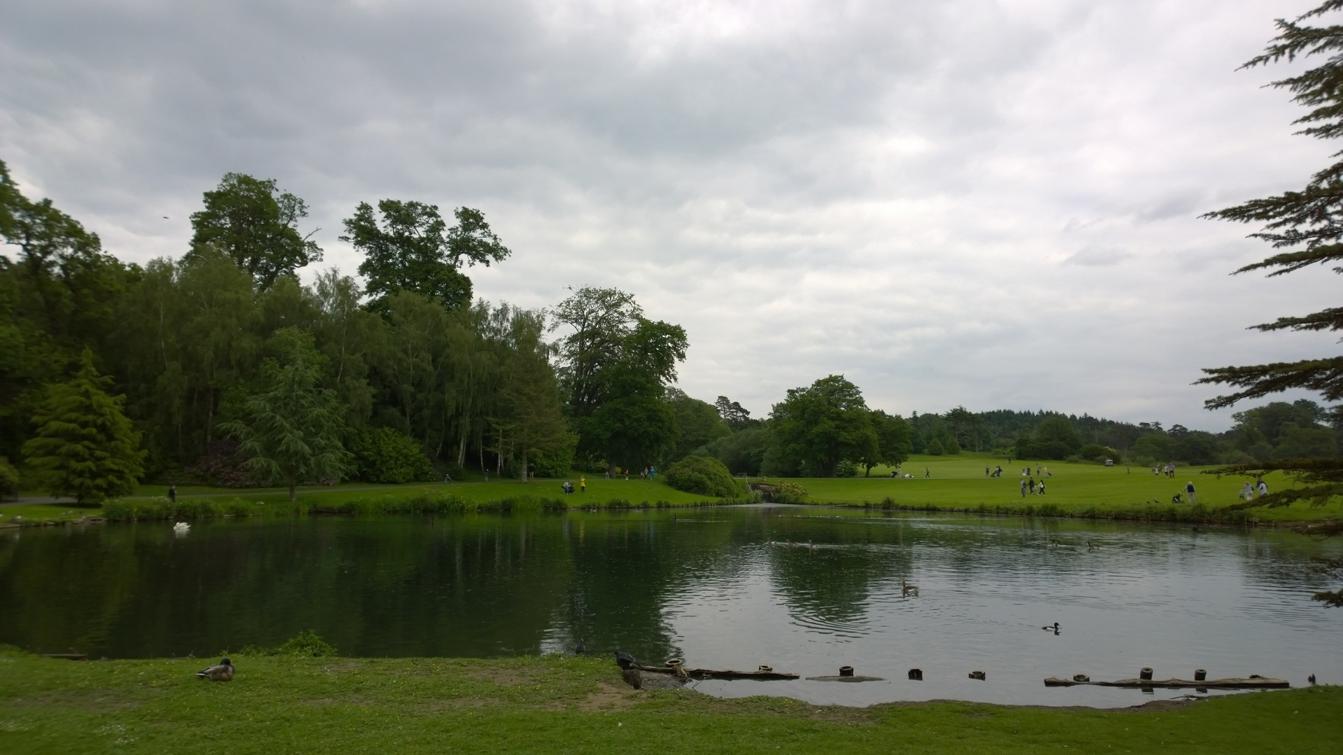 leeds castle grounds grounds at leeds castle free photo