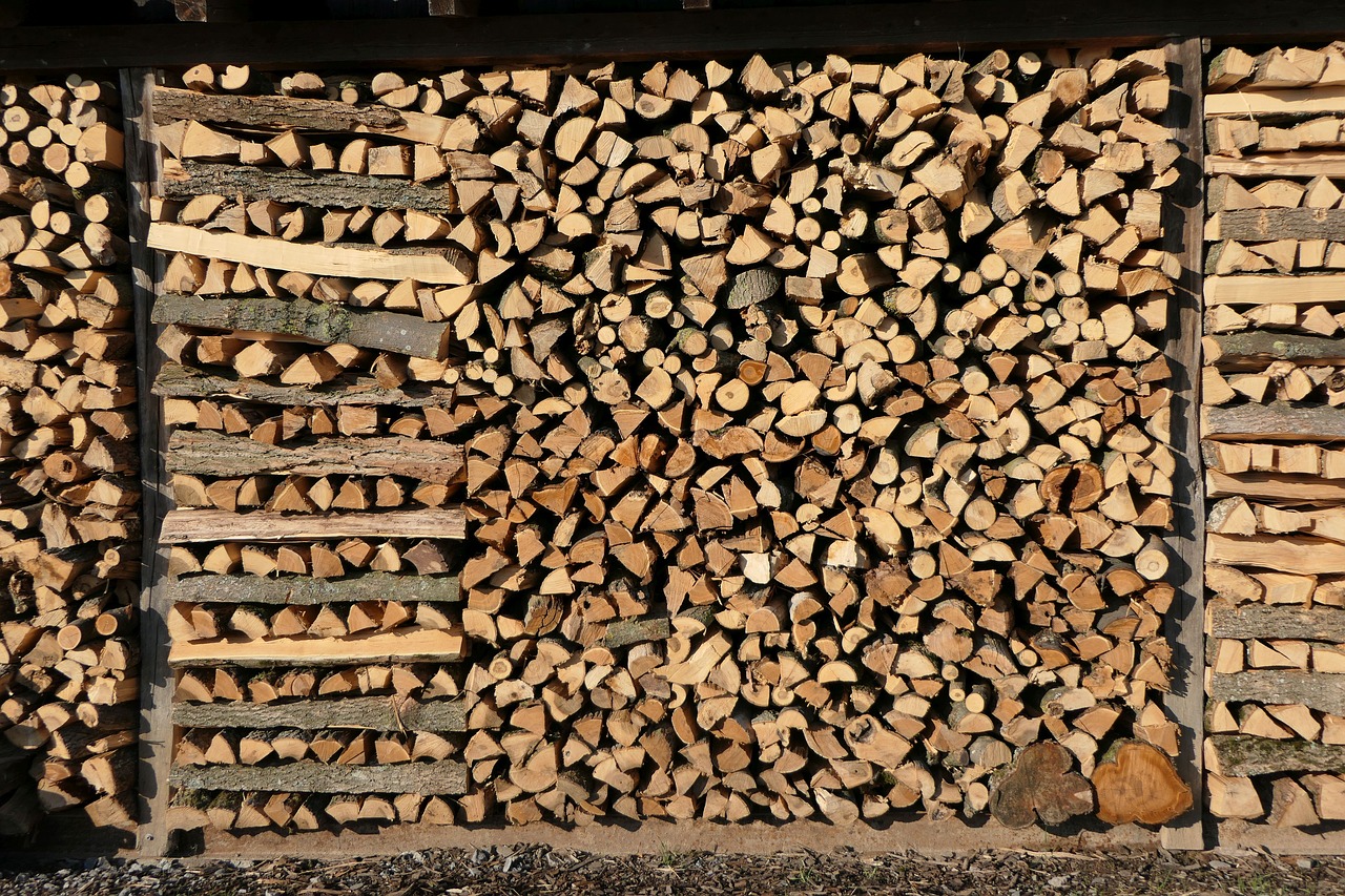 growing stock  firewood  holzstapel free photo