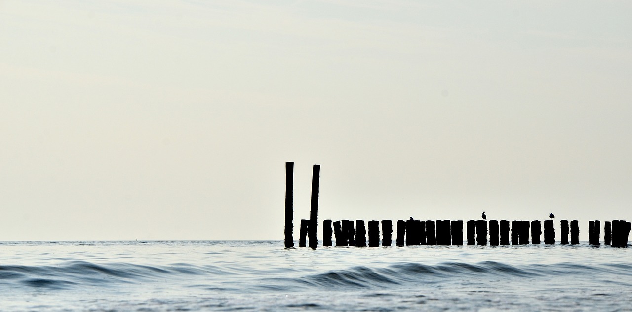 sea poles wood free photo