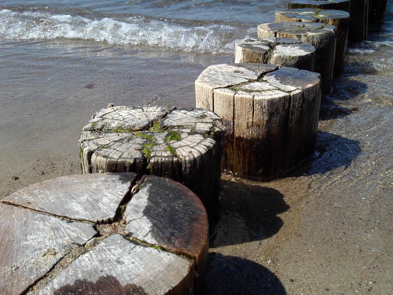 groynes beach sea free photo