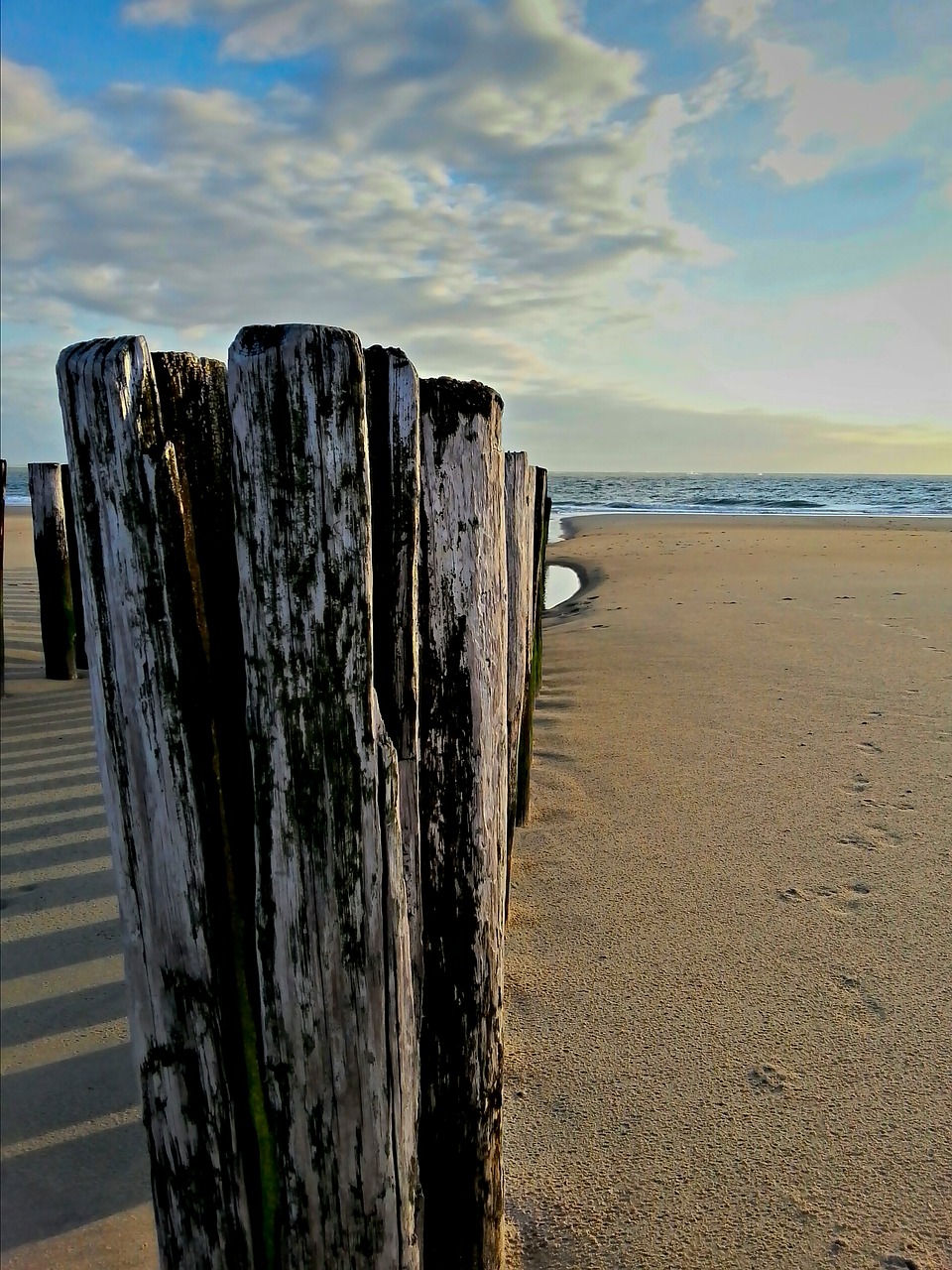 groynes sea ebb free photo