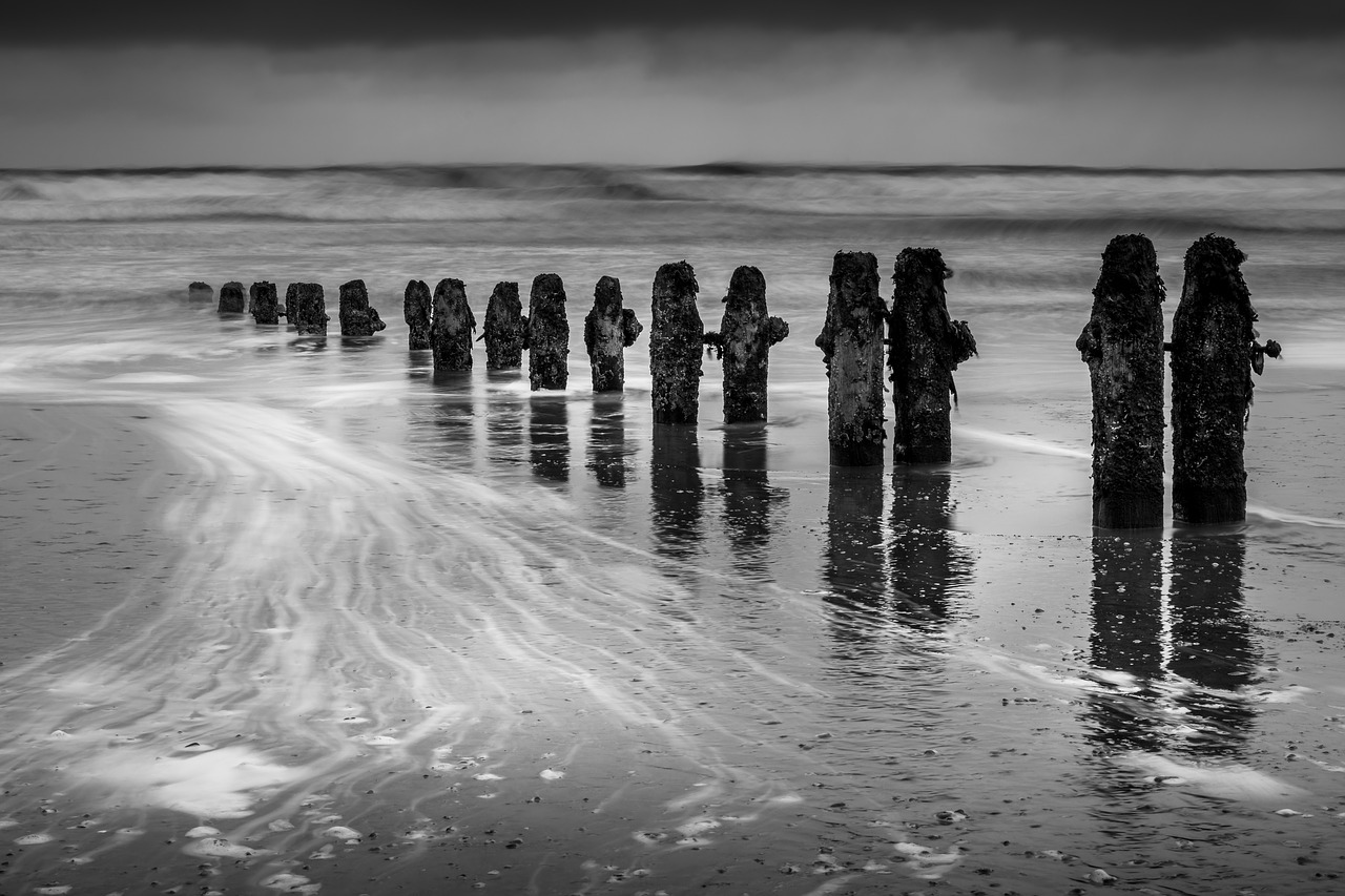 groynes wave breaks seascape free photo