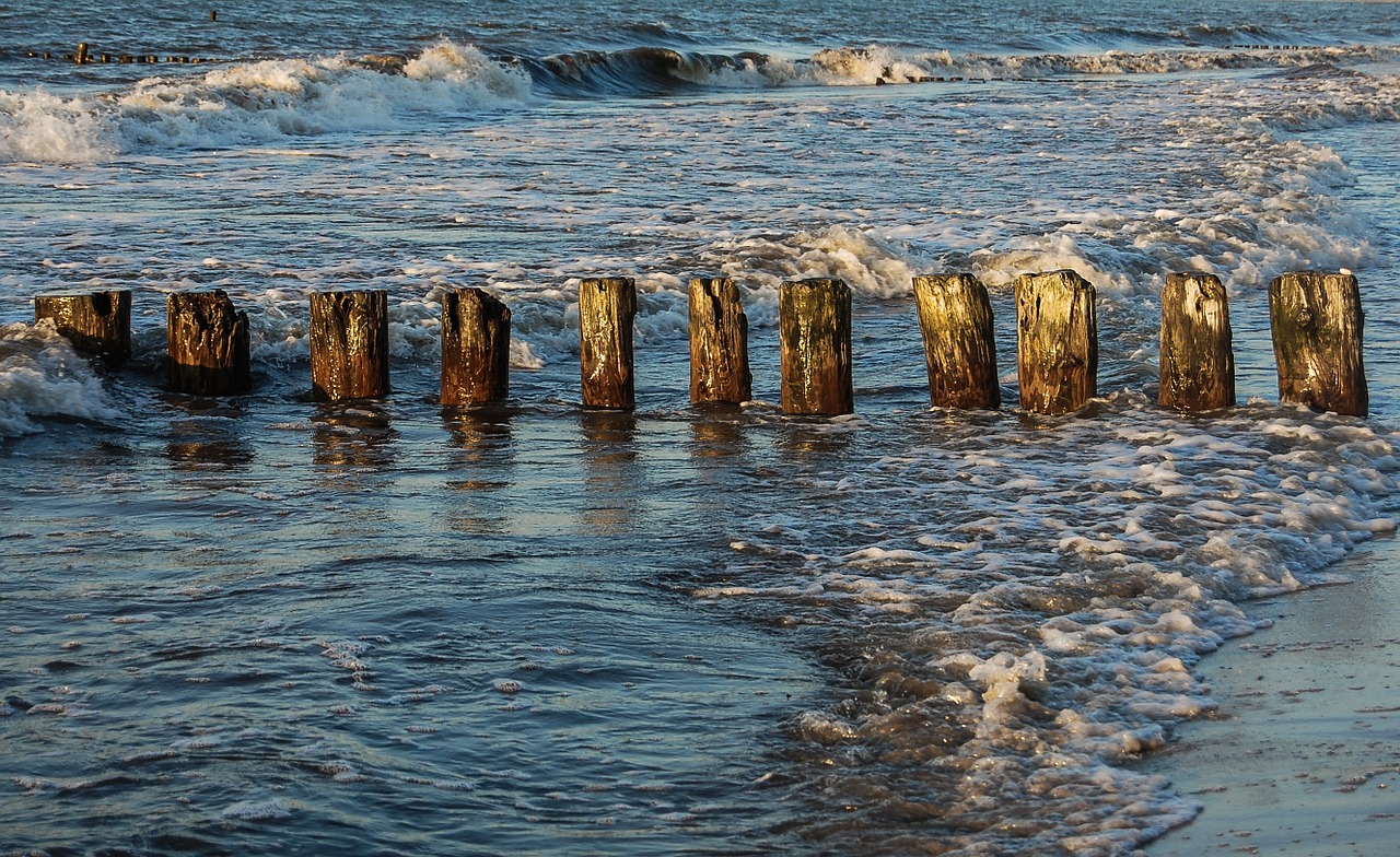 groynes sea baltic sea free photo