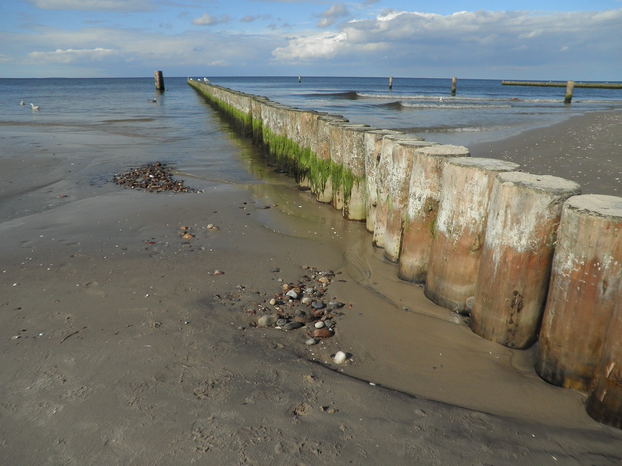 groynes baltic sea shallow water free photo