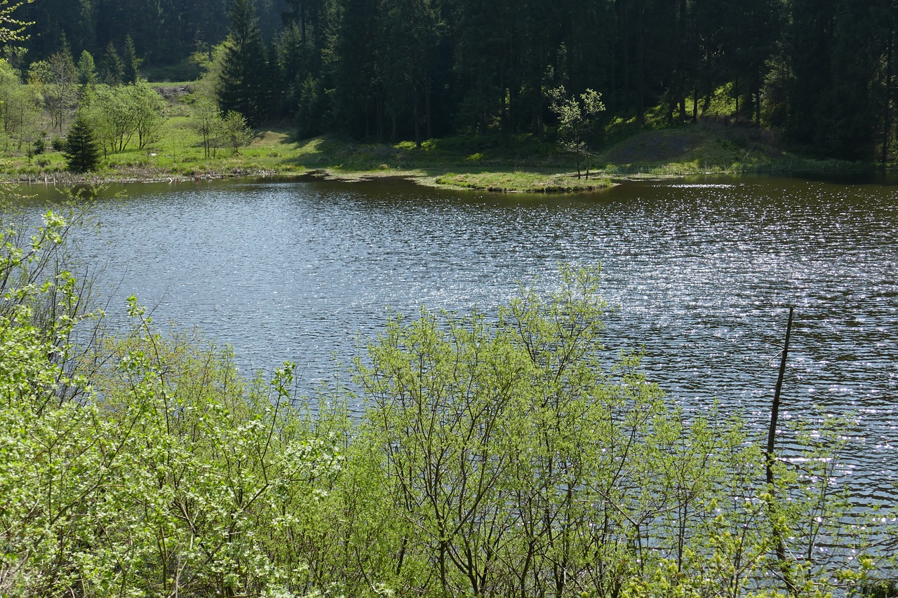 grumbach pond lake water free photo