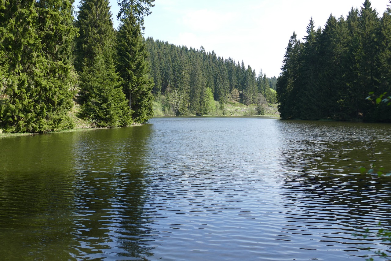 grumbach pond lake water free photo