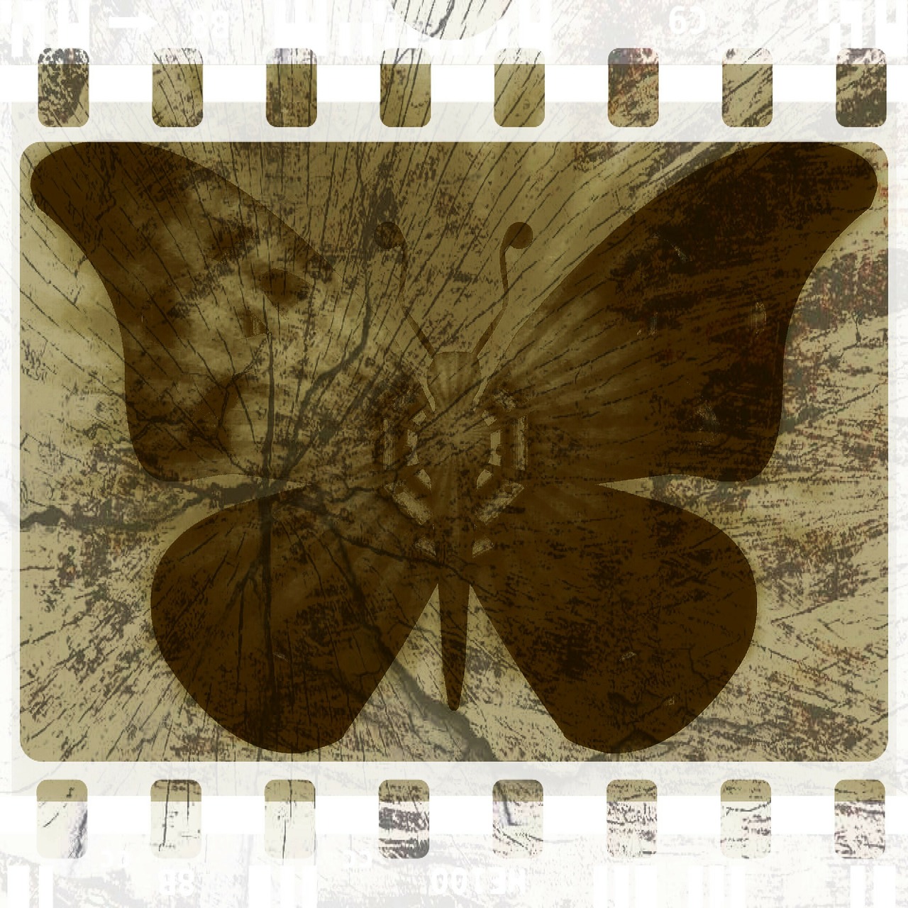 grunge butterfly background free photo
