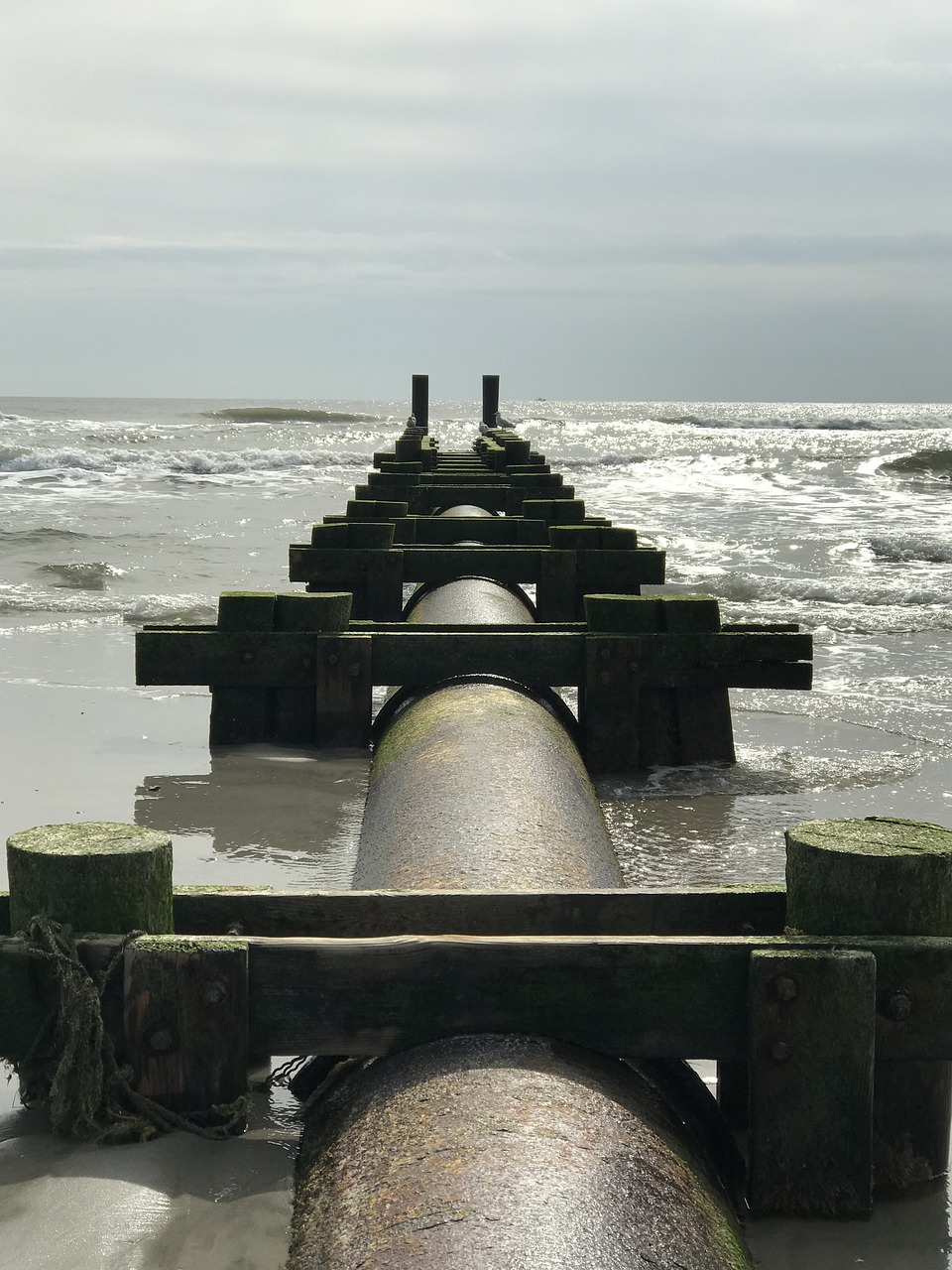 grunge  ocean  beach free photo