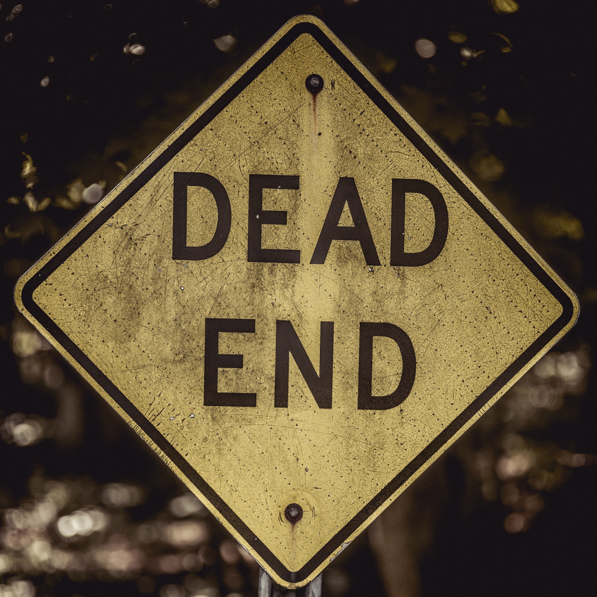 Dead End Sign Close Up Stock Photo - Download Image Now - Dead End Sign,  Horror, Spooky - iStock