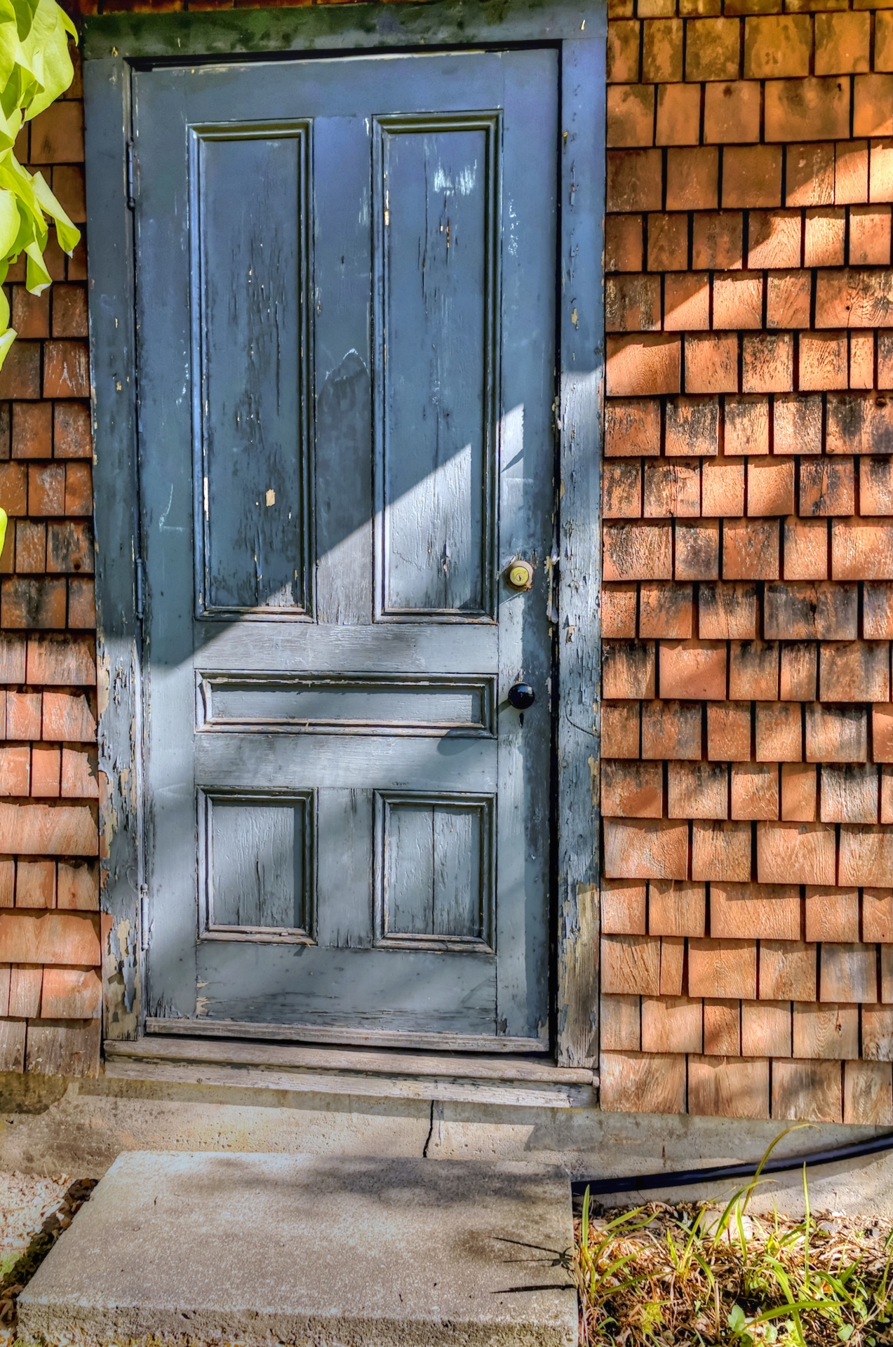 grunge grungy peeling paint free photo