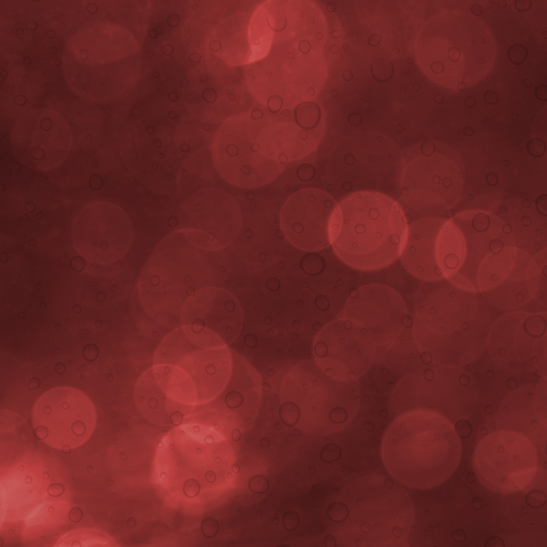 red grey bokeh free photo