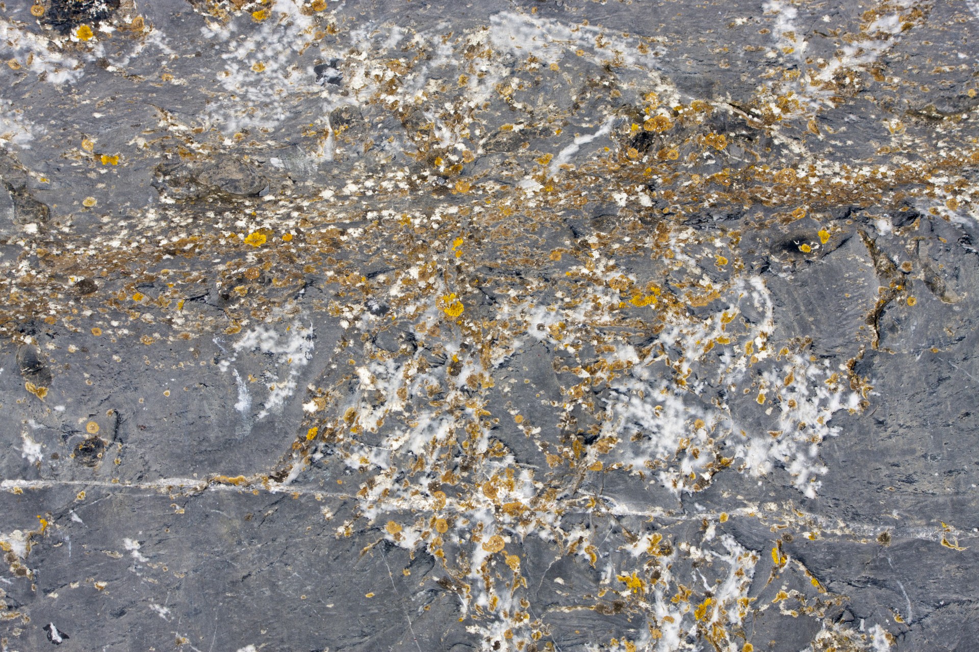 background rock granite free photo
