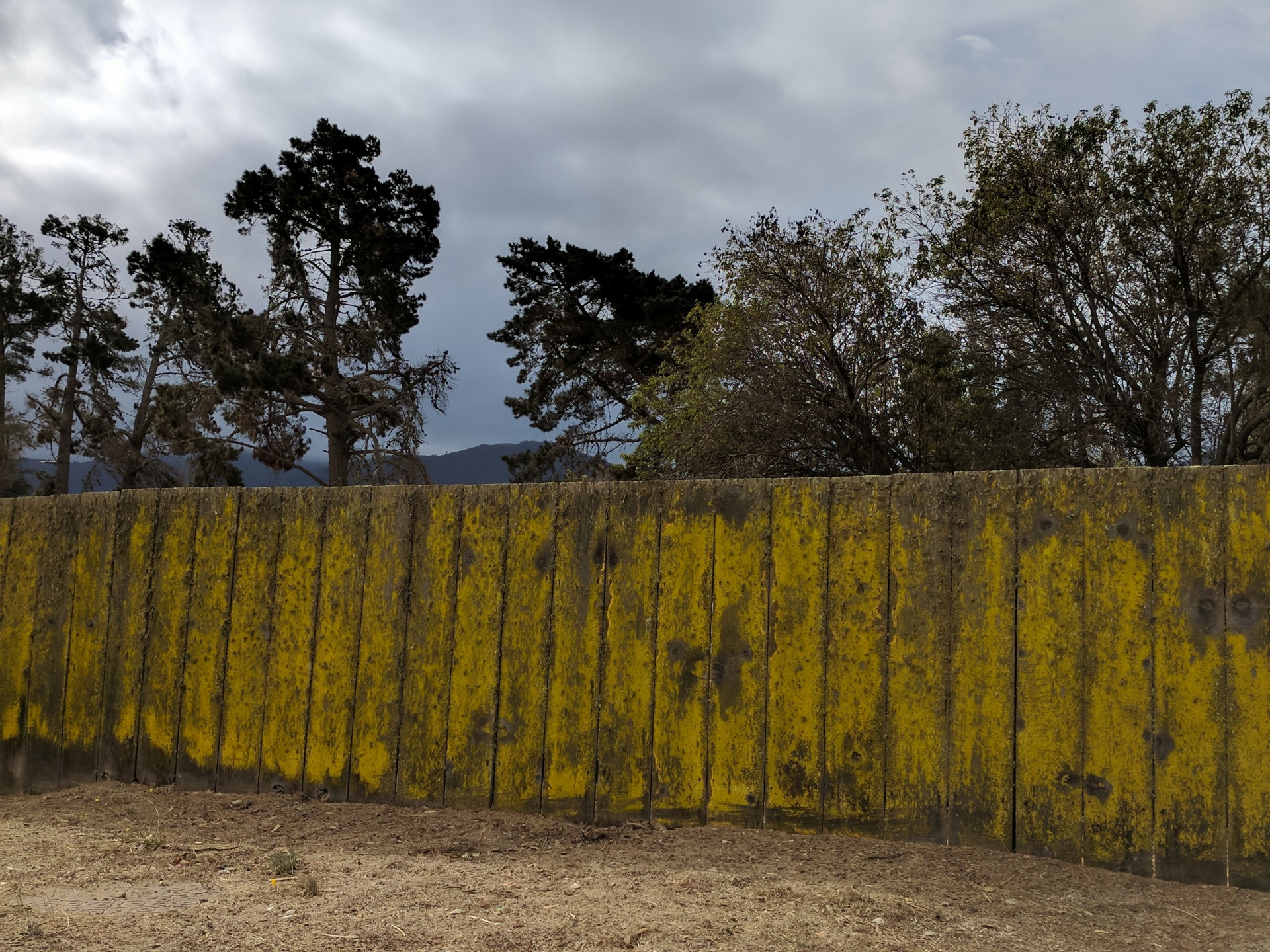 fence wooden fence yellow free photo