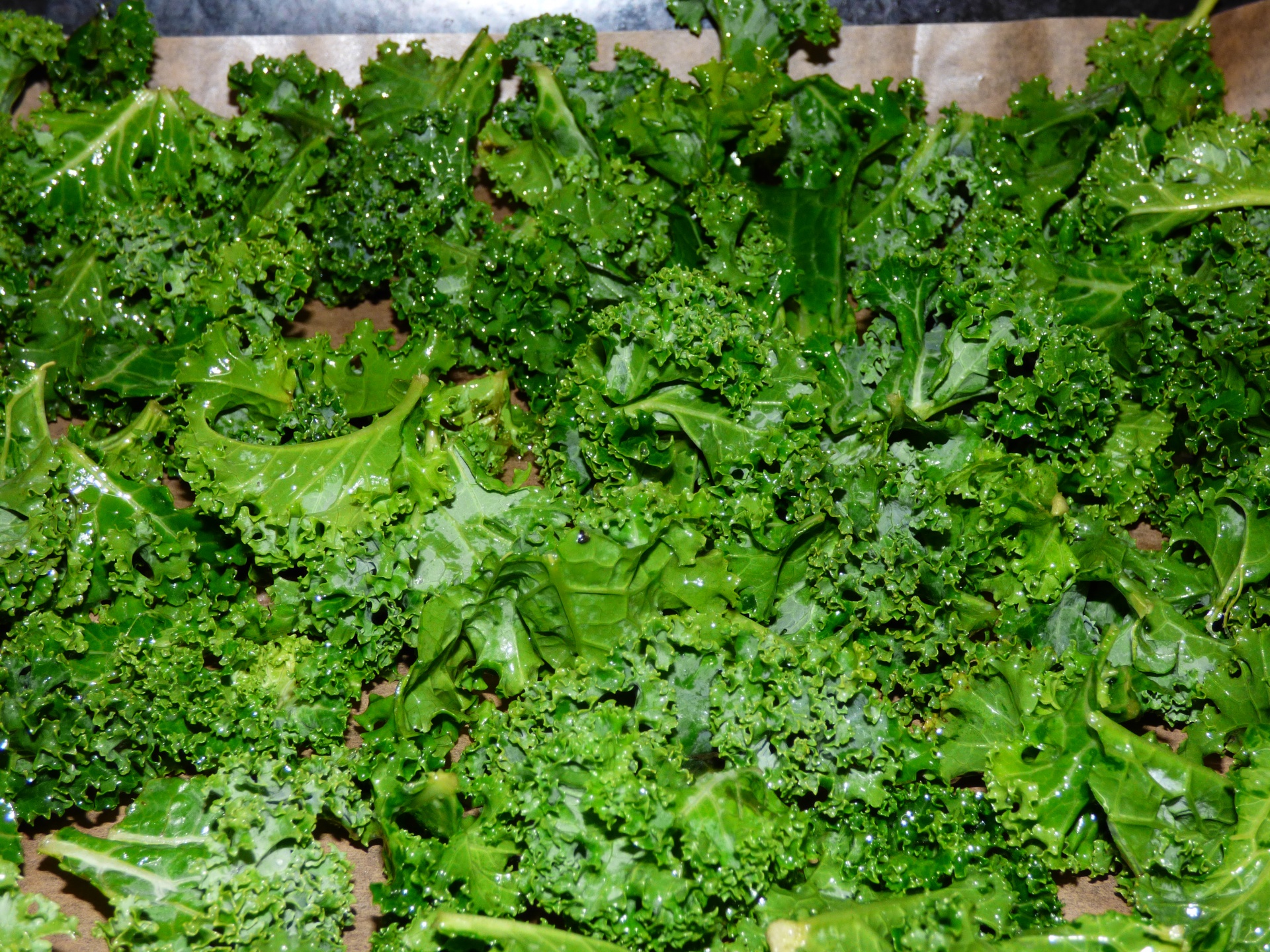background kale lettuce free photo
