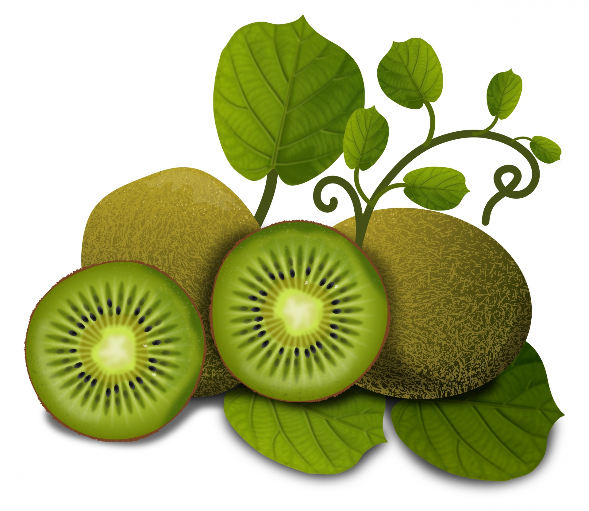 kiwi fruits tasty free photo