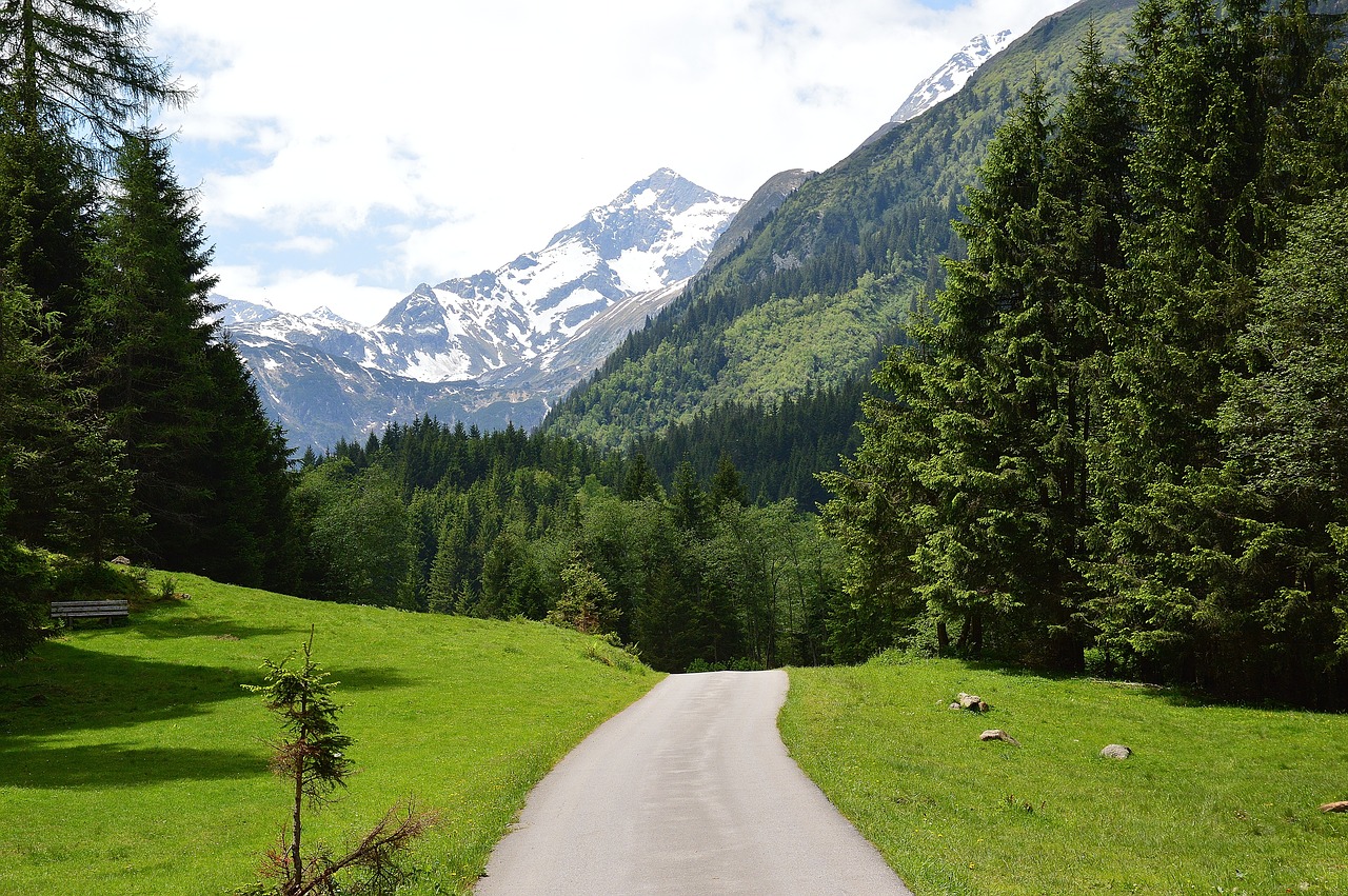 gschnitztal summer alm free photo