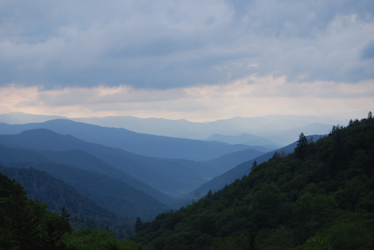 great smoky mountains gsmnp national park free photo