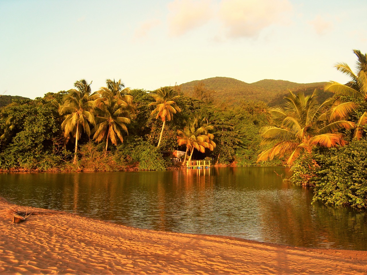 guadeloupe palm beach at night free photo