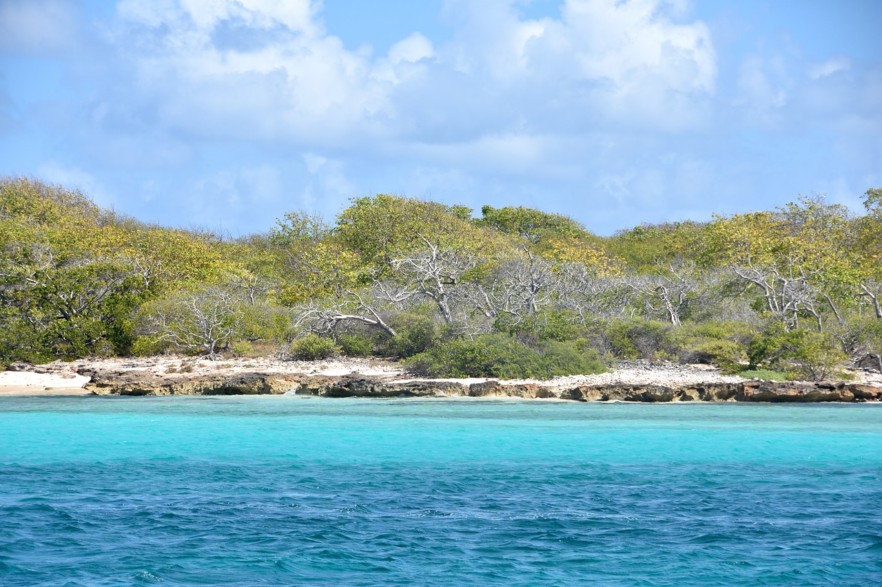 guadeloupe small land blue sea free photo