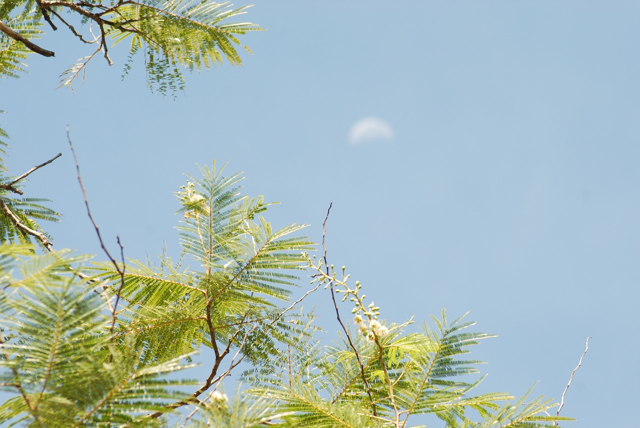 guajes moon landscape free photo