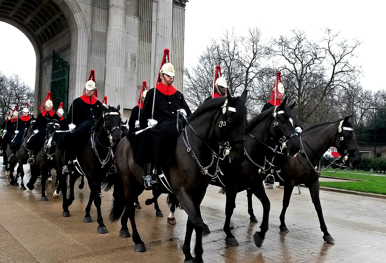 guard horses military free photo