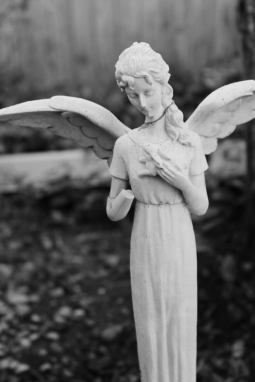 guardian angel angel wings free photo