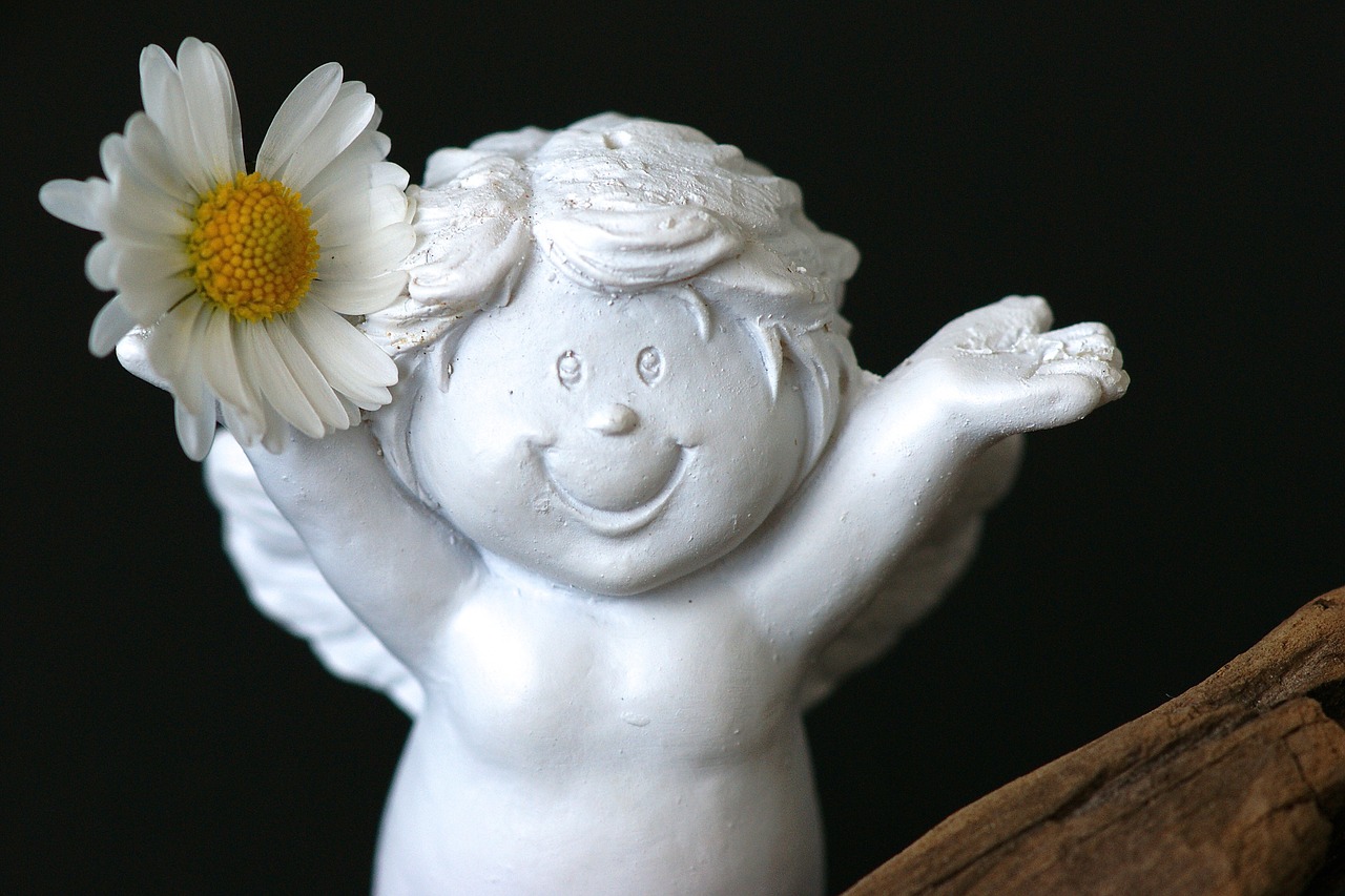 guardian angel daisy cheerful free photo