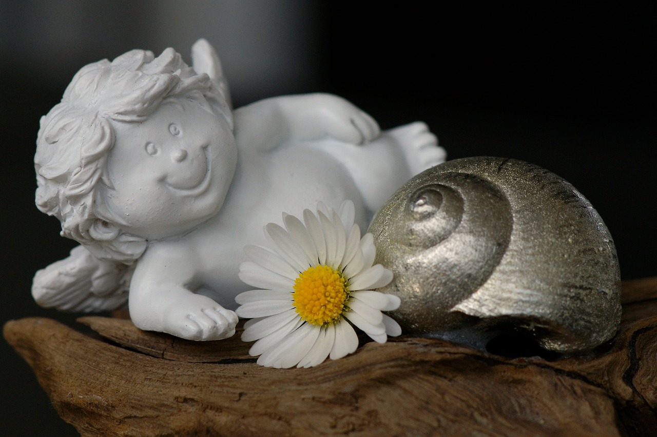 guardian angel daisy cheerful free photo