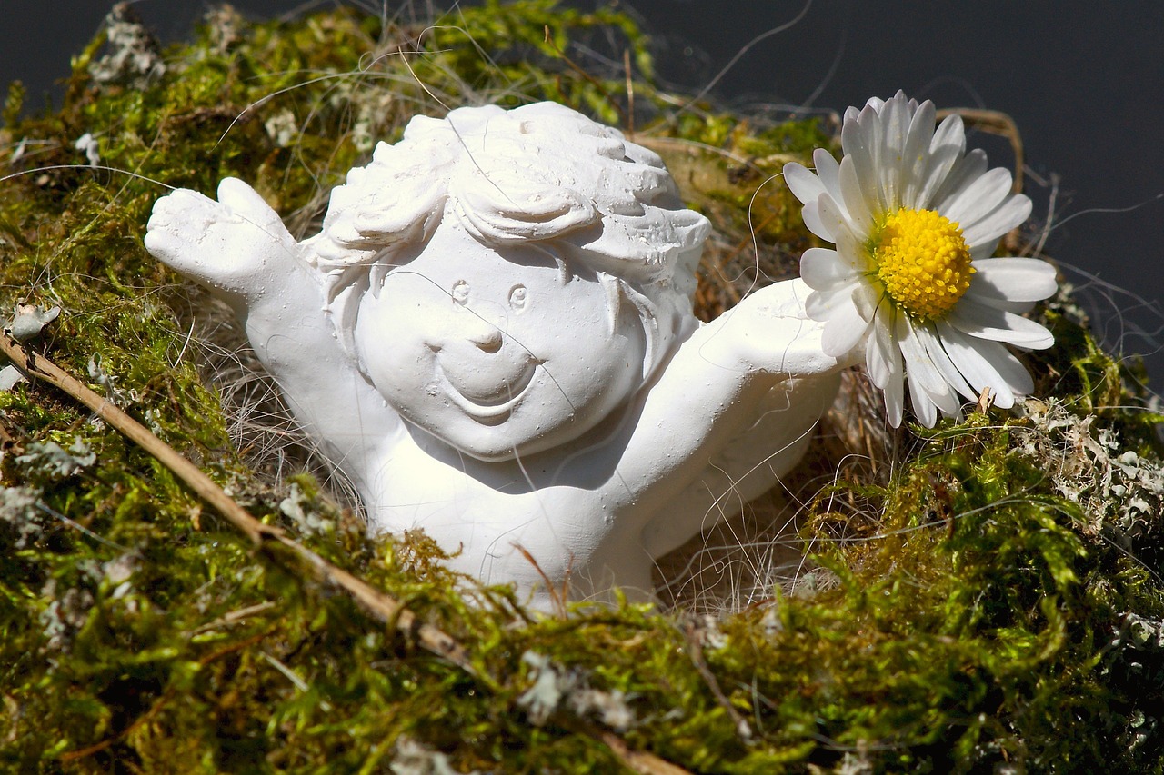 guardian angel daisy cheerful free photo