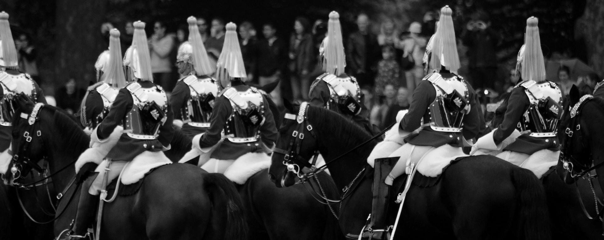 guards horses london free photo