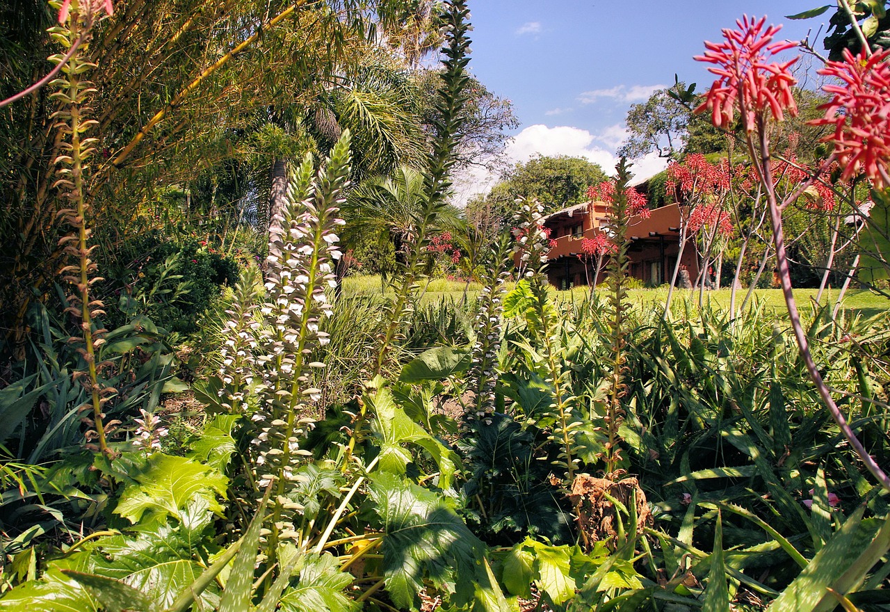 guatemala garden exotic free photo