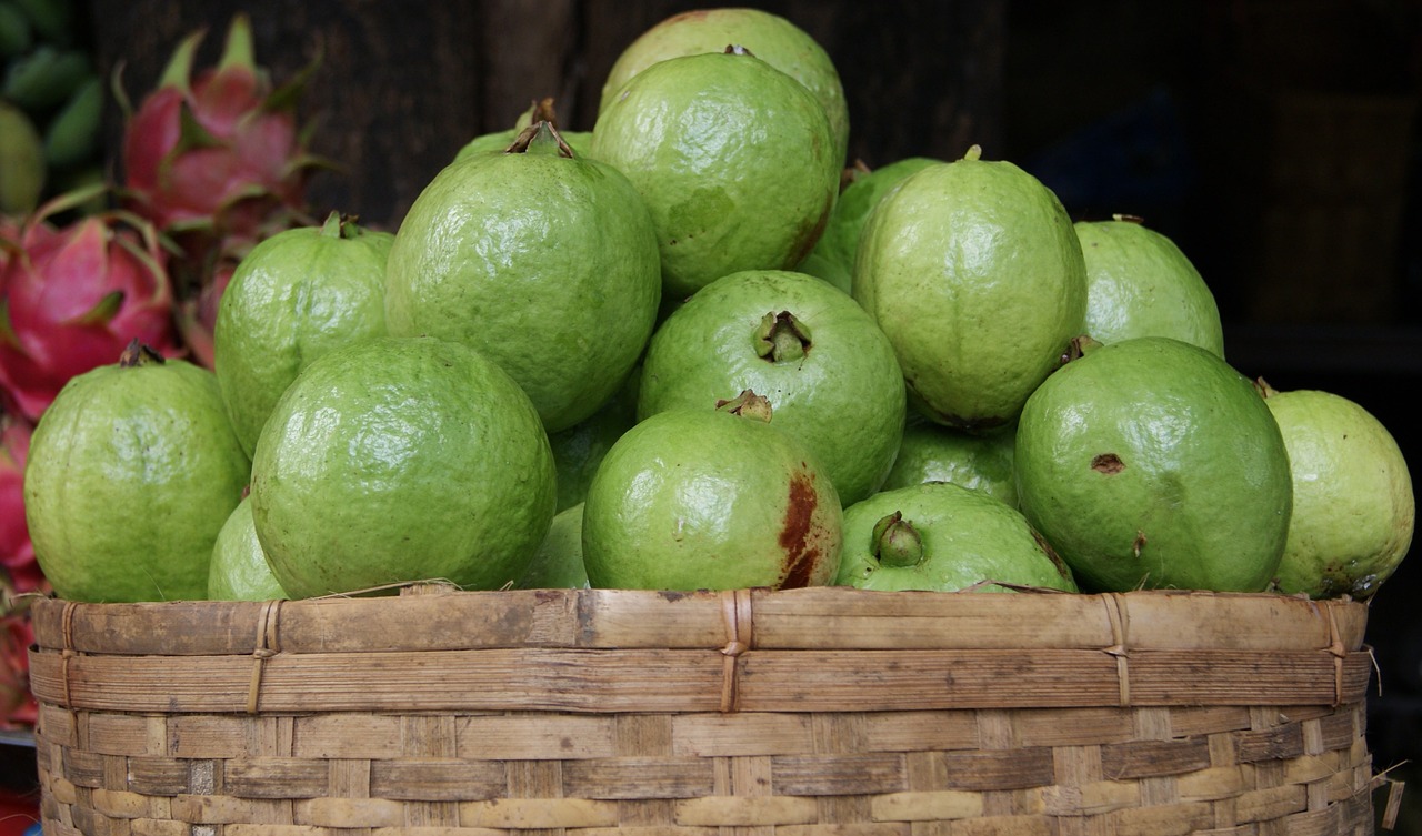 guava fruit tropical free photo