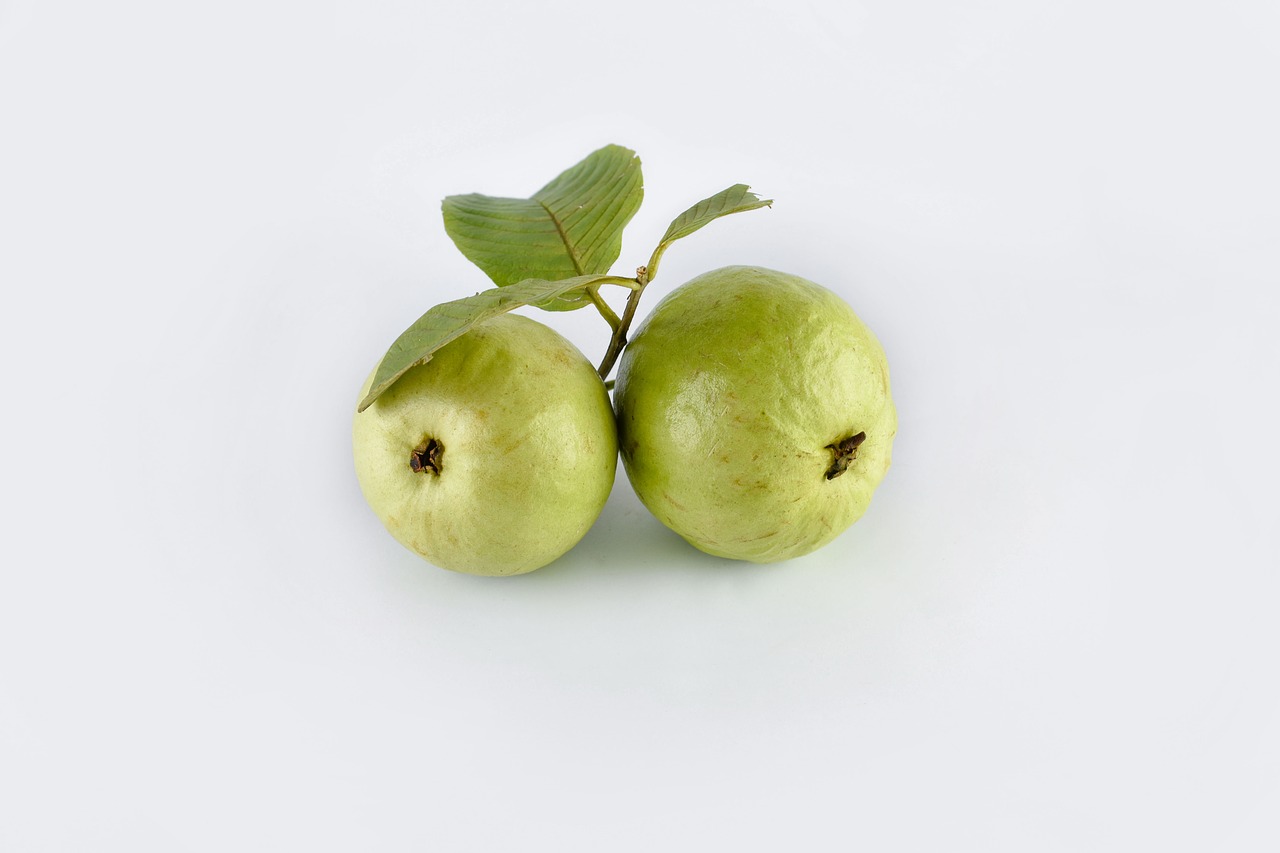 guava  fruit  nature free photo