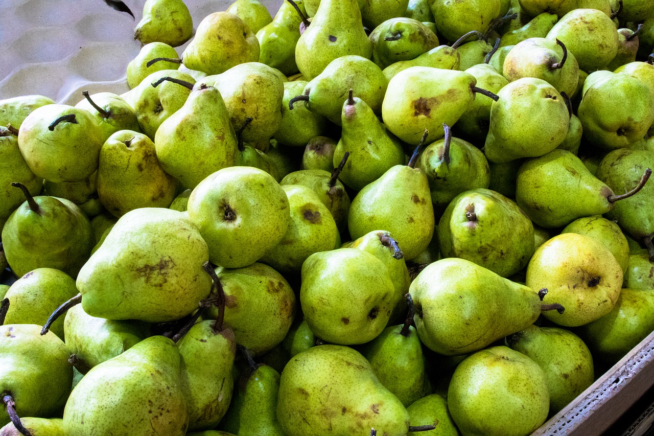 guava  fruit  vegetable free photo