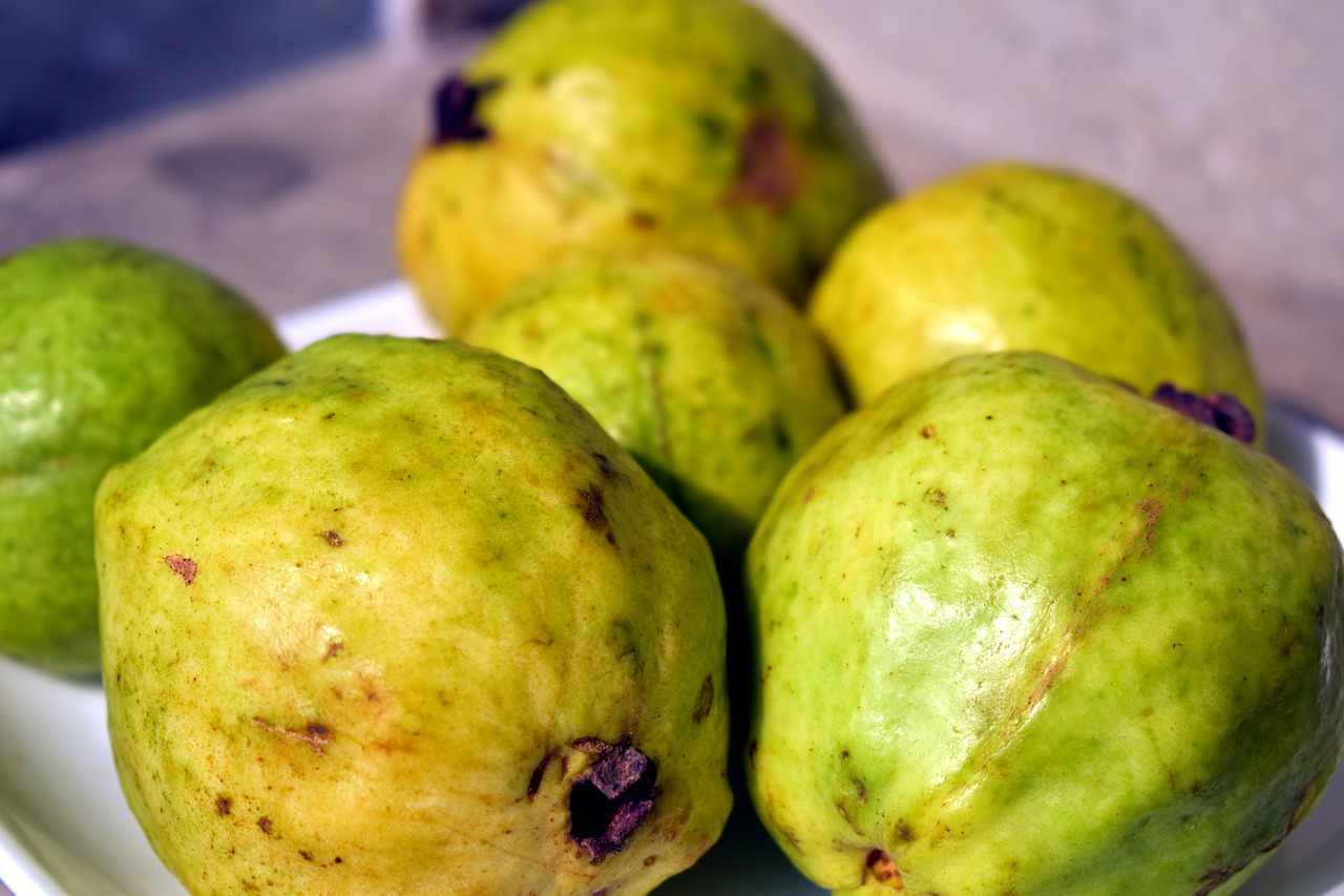 guavas fruit psidium free photo