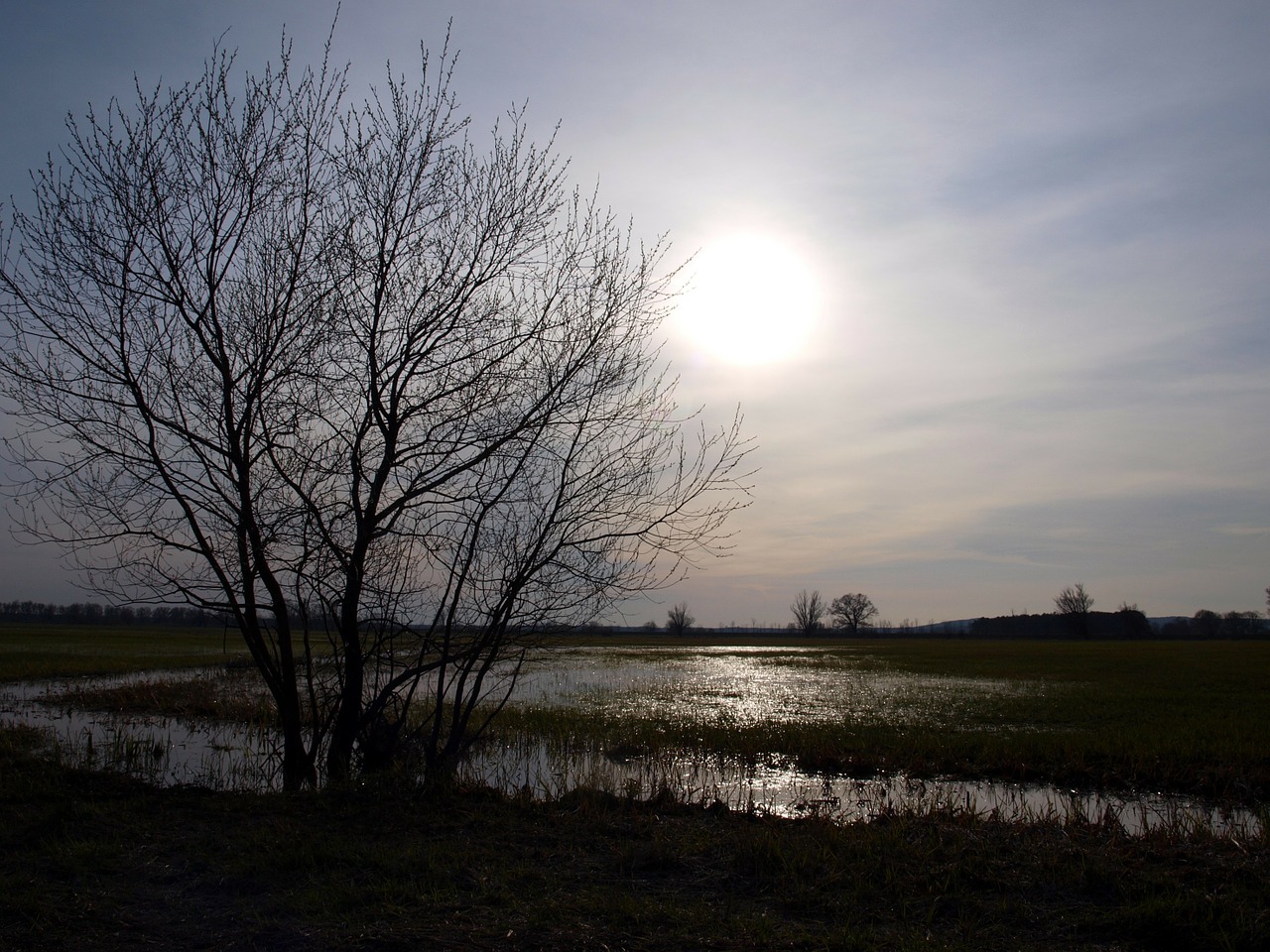 guelpe havelland flood 2012 free photo