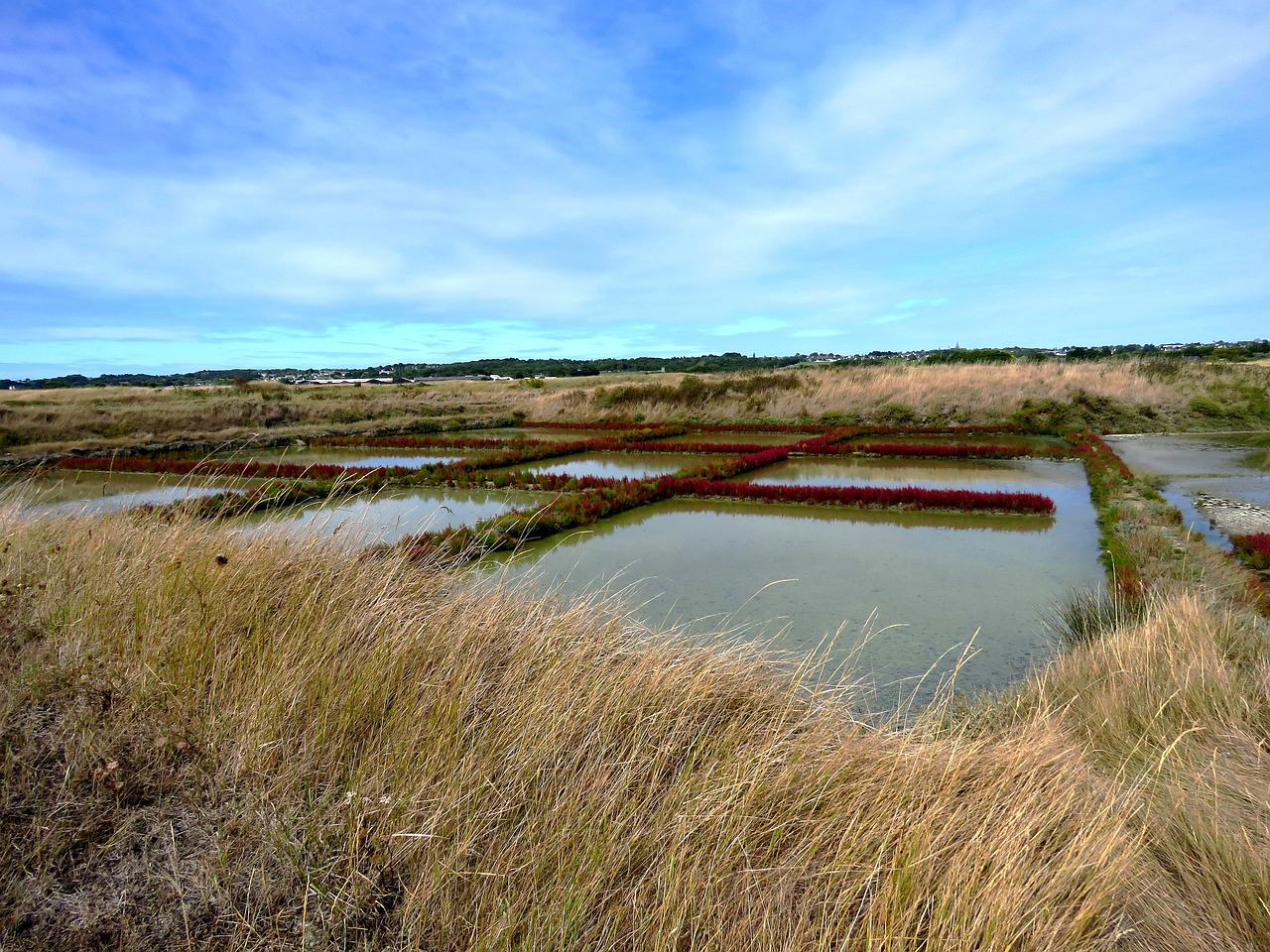 guérande salt marsh salt free photo