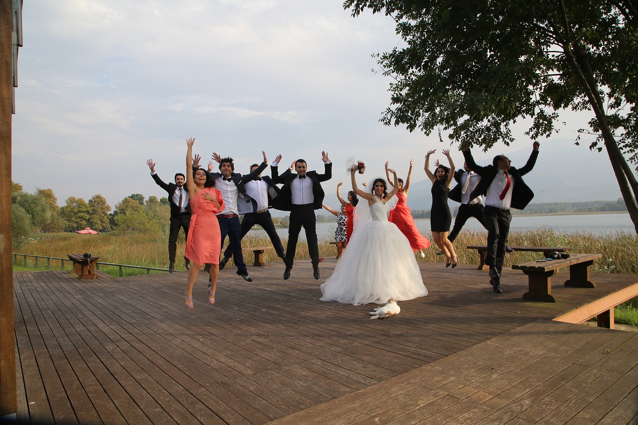 guest cat wedding ceremony just married free photo