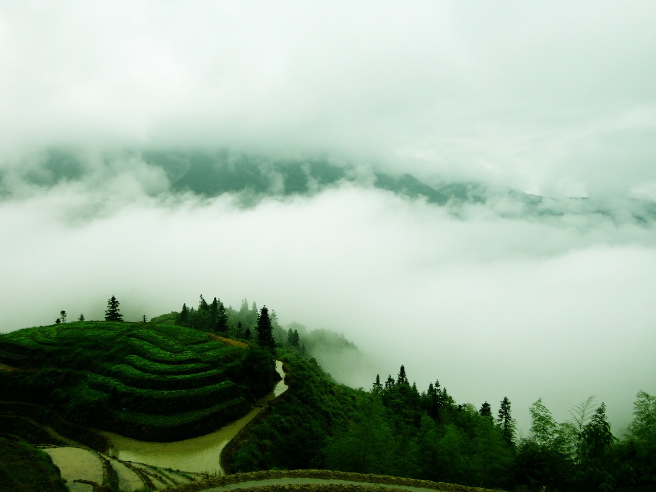 guilin dragon's back terrace free photo