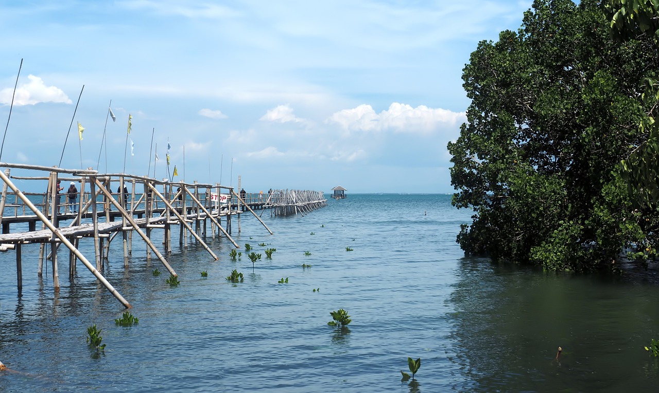 guimaras island lookout point  guimaras  island free photo