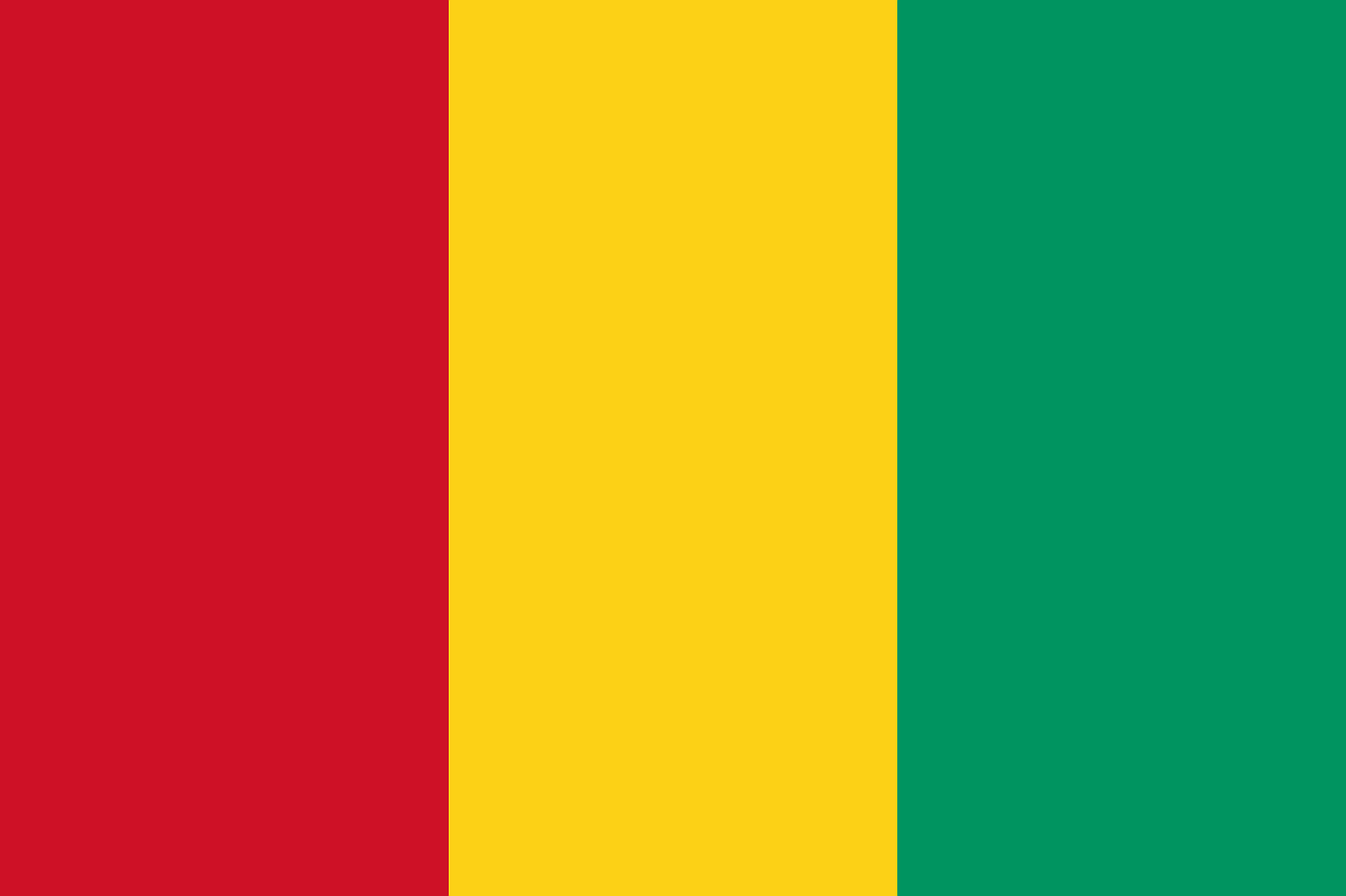 guinea flag national flag free photo