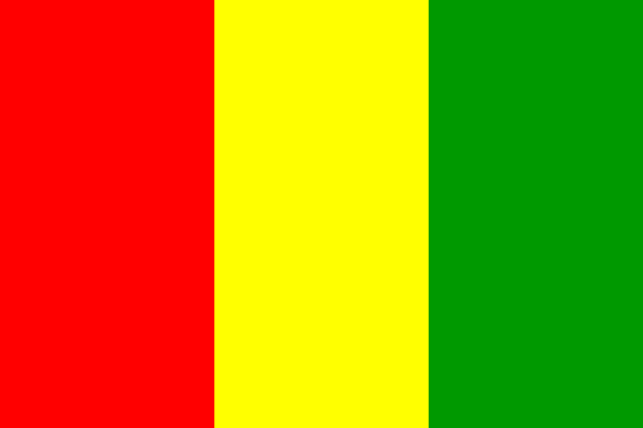 guinea flag republic of guinea free photo