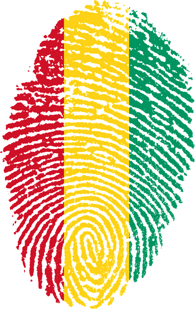 guinea flag fingerprint free photo