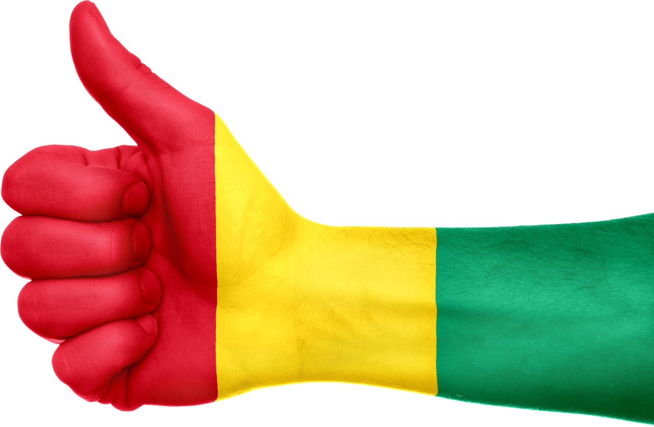 guinea flag hand free photo