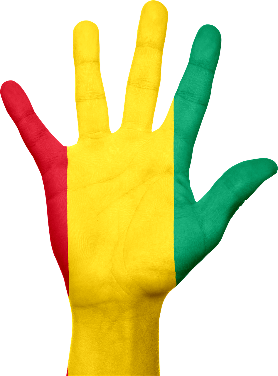 guinea flag hand free photo