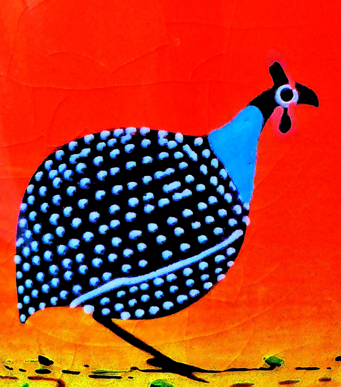 guinea fowl drawing colorful free photo