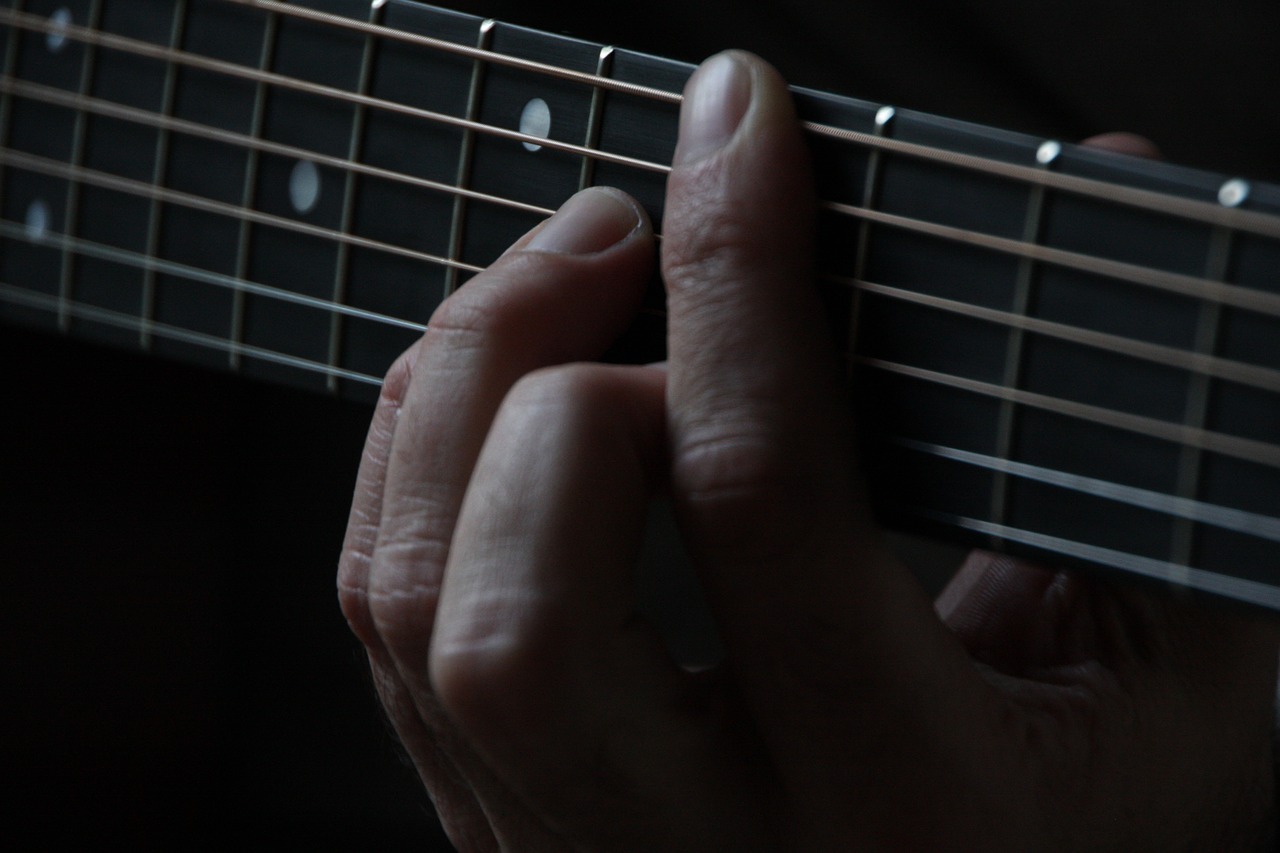 guitar strings finger free photo