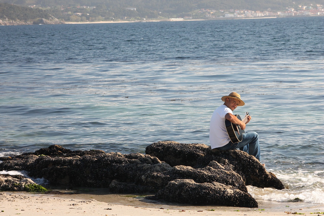 guitar beach sea free photo